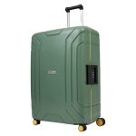 ruimbagage koffer